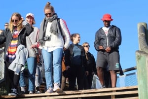 Ciudad del Cabo: Tour guiado en bicicleta