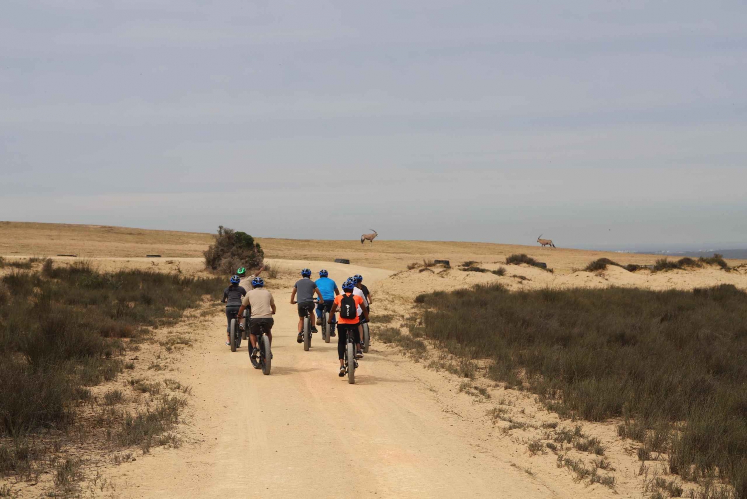 Cidade do Cabo: excursão guiada de e-Bike Safari