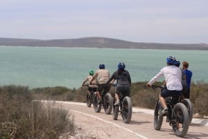 Ciudad del Cabo: Excursión guiada en e-Bike Safari