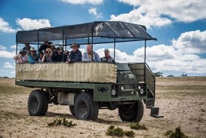 Le Cap : Visite guidée d'un safari en e-bike