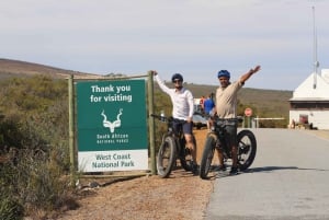 Кейптаун: сафари-тур на электронном велосипеде с гидом