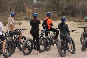Kapstaden: Guidad safari med e-cykel