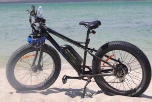 Kapsztad: Safari z przewodnikiem na rowerze elektrycznym