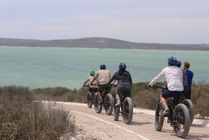 Città del Capo: tour guidato in e-bike safari