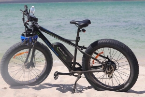 Città del Capo: tour guidato in e-bike safari