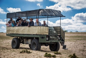 Cape Town: Guided e-Bike Safari Tour