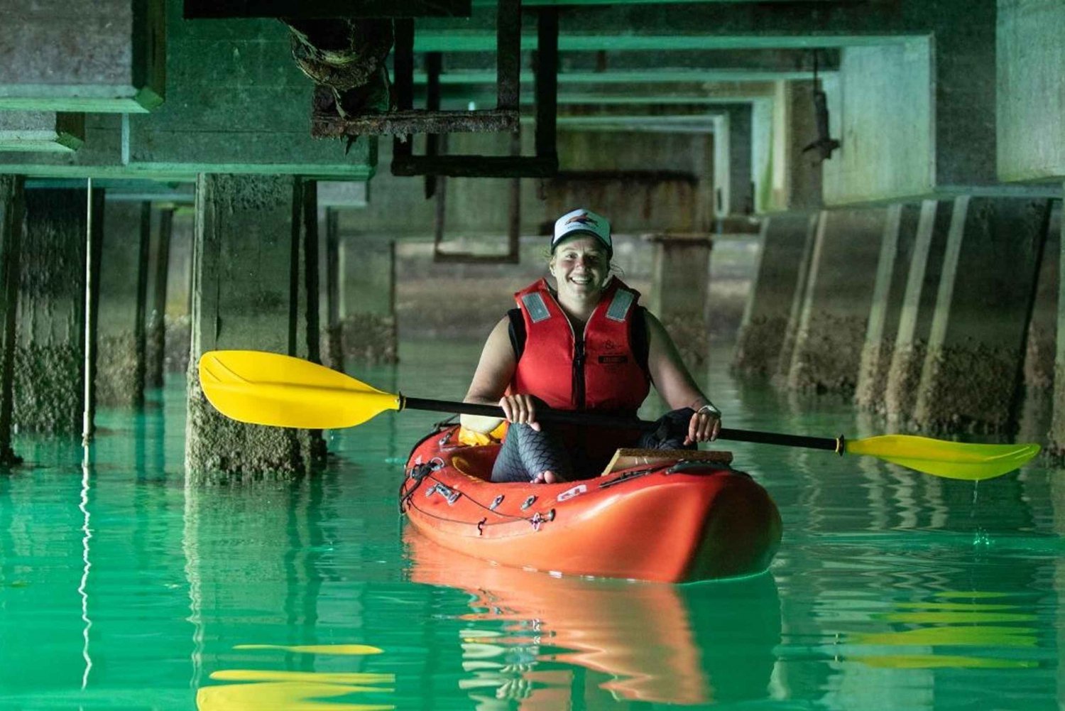 Cape Town: Guided Kayak Tour with Animal Ocean