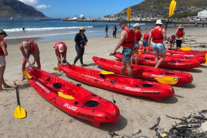 Кейптаун: экскурсия на байдарке с гидом
