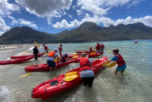 Кейптаун: экскурсия на байдарке с гидом