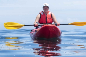 Кейптаун: экскурсия на байдарке с гидом