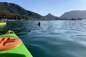Cape Town: Guided Kayaking in Hout Bay