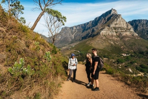 Cape Town: Guided Lion's Head Hike at Sunrise or Sunset