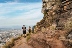 Cape Town: Guided Lion's Head Hike at Sunrise or Sunset