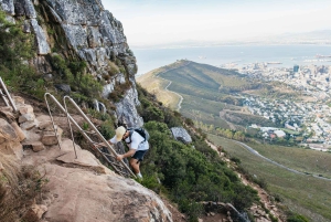 Cape Town: Guided Lion's Head Hike at Sunrise or Sunset