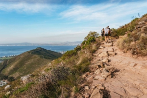 Cape Town: Guided Lion's Head Hike at Sunrise or Sunset