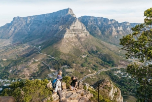 Cape Town: Guided Lion's Head Hike at Sunrise or Sunset