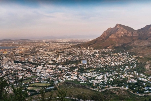 Cape Town: Guided Lion's Head Hike at Sunrise or Sunset