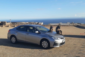 Cape Town: Cape of Good Hope and Sightseeing Tour