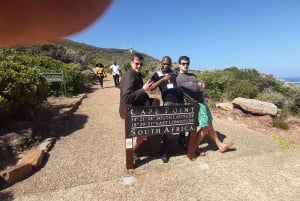 Cape Town: Cape of Good Hope and Sightseeing Tour