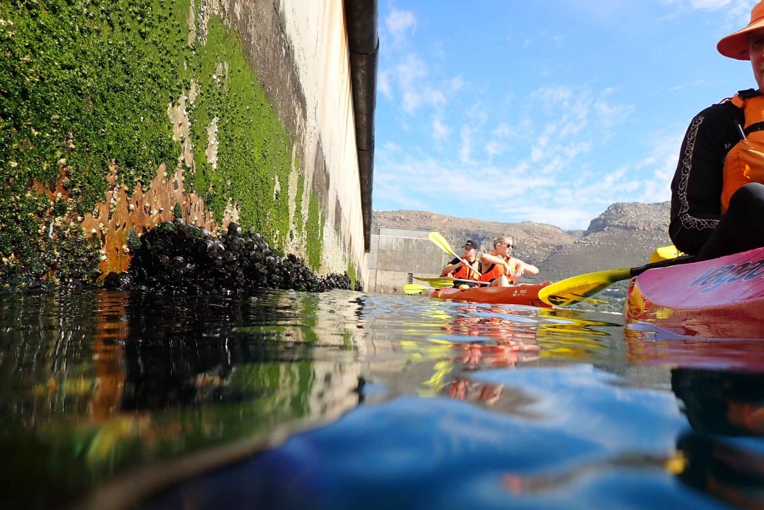 Kapsztad: wycieczka kajakowa z przewodnikiem po Simon's Town