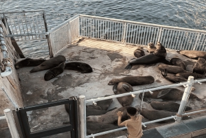Kapstaden: Guidad tur på Robben Island och diamantmuseet