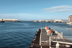 Kapstaden: Guidad tur på Robben Island och diamantmuseet