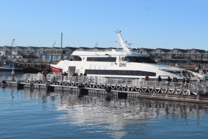 Kapstaden: Guidad tur på Robben Island och diamantmuseet