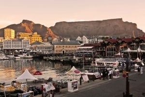 Cape Town: Guidet rundvisning med adgangsbillet til District Six Museum