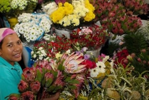 Ciudad del Cabo: Visita guiada con entrada al Museo del Distrito Seis