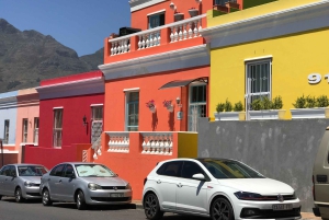 Kapsztad: Półdniowa wycieczka na plażę Boulders i spotkanie z pingwinami