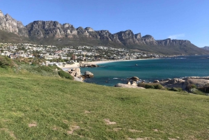 Kapsztad: Półdniowa wycieczka na plażę Boulders i spotkanie z pingwinami