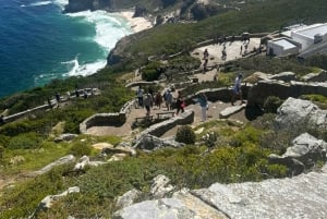 Cape Town: Half-Day Cape Peninsula Shairing Group Tour .