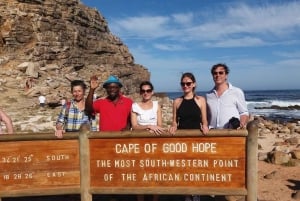 Cape Town: Half-Day Cape Peninsula Shairing Group Tour .