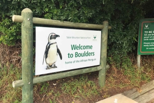 Kapsztad: Półdniowa wycieczka grupowa na Półwysep Przylądkowy.