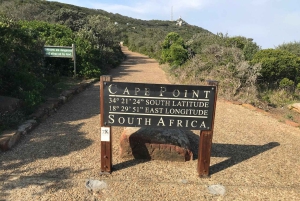 Kapsztad: Półdniowa wycieczka grupowa na Półwysep Przylądkowy.