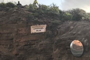 Kapsztad: Półdniowa wycieczka grupowa na Półwysep Przylądkowy.