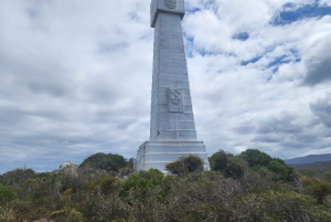 Kapsztad: Półdniowa wycieczka grupowa na Półwysep Przylądkowy.