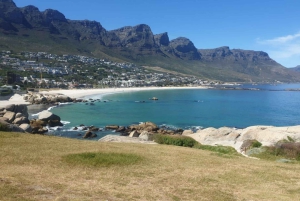 Kapsztad: Półdniowa wycieczka grupowa na Półwysep Przylądkowy.