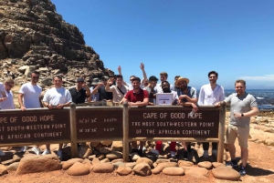 Kapsztad: Półdniowa wycieczka grupowa na Półwysep Przylądkowy.