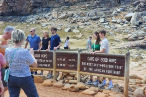 Kapsztad: Półdniowa wycieczka grupowa na Półwysep Przylądkowy.