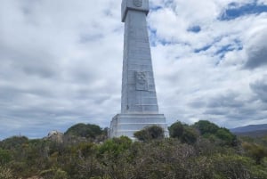 Cidade do Cabo: excursão de meio dia pela Península do Cabo com pinguins privados