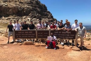 Cidade do Cabo: excursão de meio dia pela Península do Cabo com pinguins privados