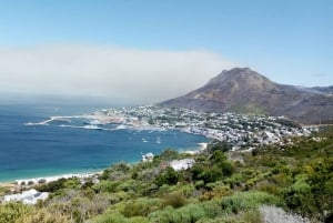 Cidade do Cabo: excursão de meio dia pela Península do Cabo com pinguins privados