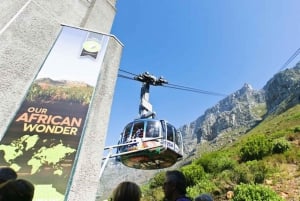 Excursão de meio dia pela cidade da Cidade do Cabo e ingresso para a Table Mountain
