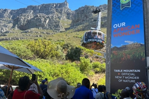 Tour condiviso di mezza giornata di Città del Capo e biglietto per Table Mountain