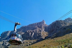 Cape Town Half-Day City Shared Tour & Table Mountain ticket