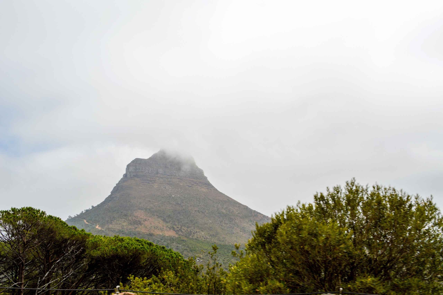 Cape Town: Halvdagstur i byen