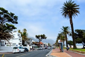 Cape Town: Halvdags byrundtur