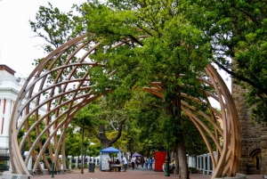 Kaapstad: Stadstour van een halve dag