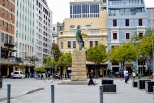 Ciudad del Cabo: tour de medio día por la ciudad